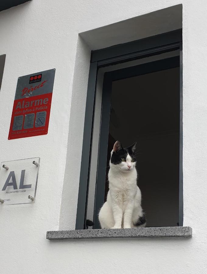 Caminhos Nos Levam Pela Ilha Leilighet Ponta Delgada Eksteriør bilde