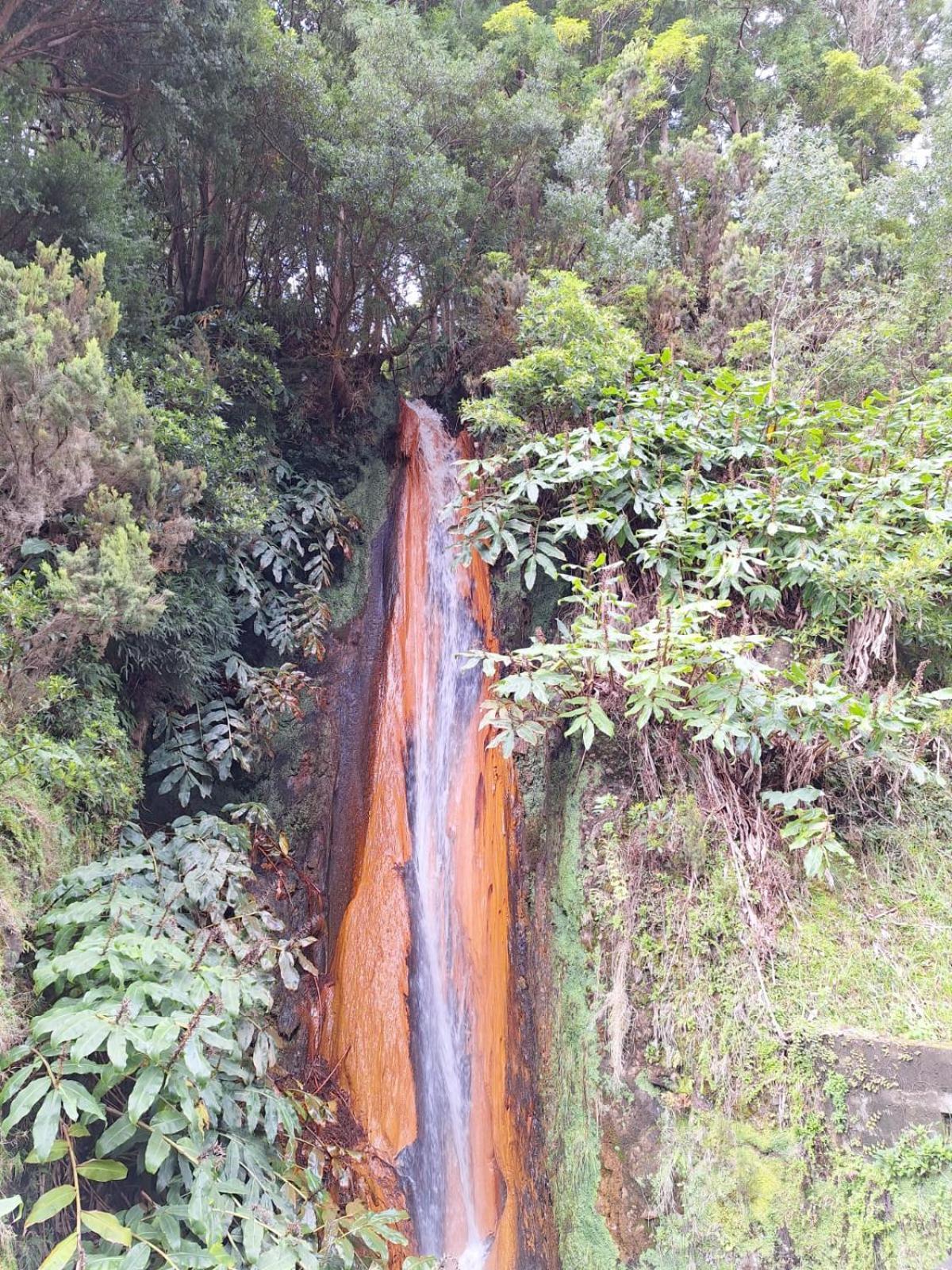 Caminhos Nos Levam Pela Ilha Leilighet Ponta Delgada Eksteriør bilde